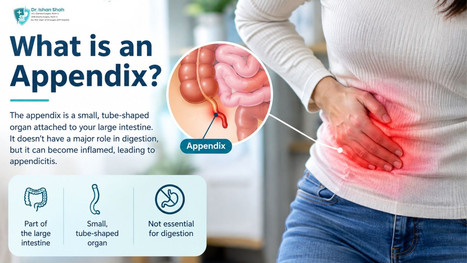 What is an Appendix?