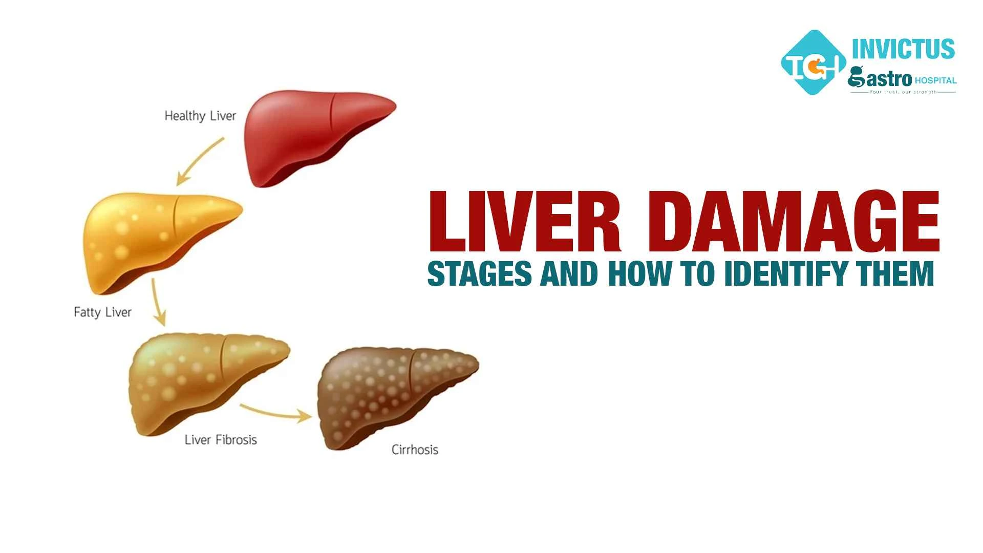 liver damage stages and signs